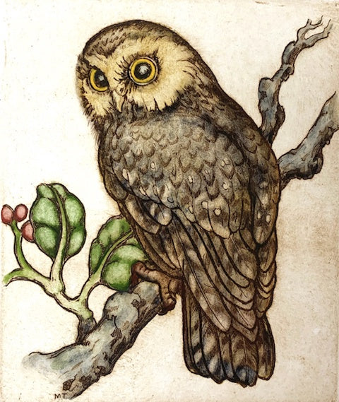 Morepork/Ruru II